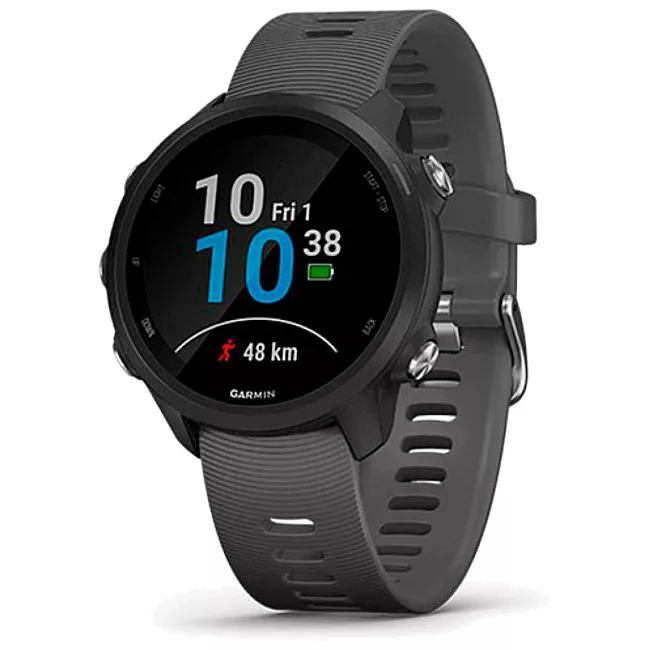 Смарт-часы Garmin Forerunner 245 Slate Gray (010-02120-10)