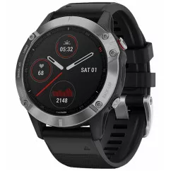Спортивные часы Garmin Fenix 6 Silver with Black Band