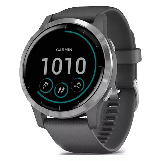 Смарт-часы Garmin Vivoactive 4 Shadow Gray/Silver (010-02174-03)