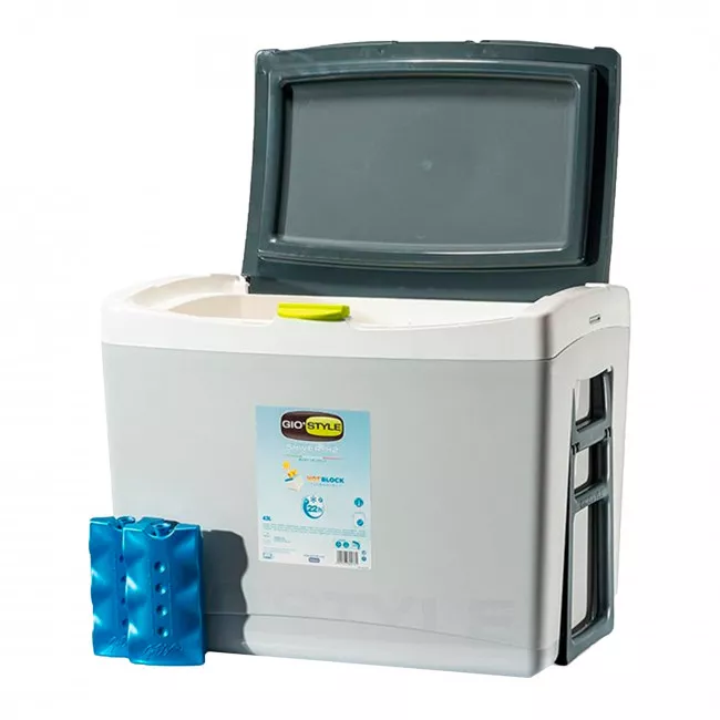 Термобокс GioStyle Shiver 42 + ICEPACKS (8000303304784)