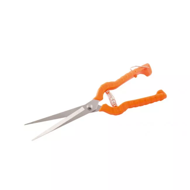 Секатор садовый виноградный 240 мм с пластиковыми ручками, лезвие НЕРЖ MASTER TOOL (14-6115)