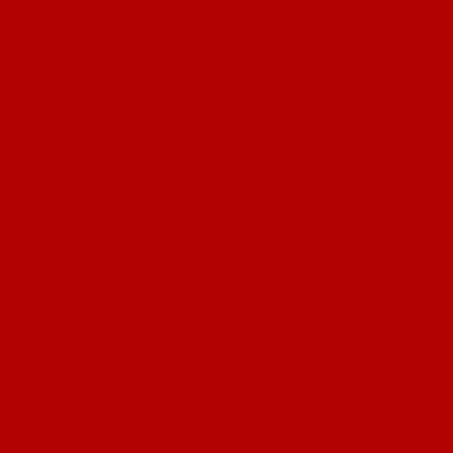 Эмаль NEW TON авто 309/355 гренадер аэрозоль150 мл (000000406)