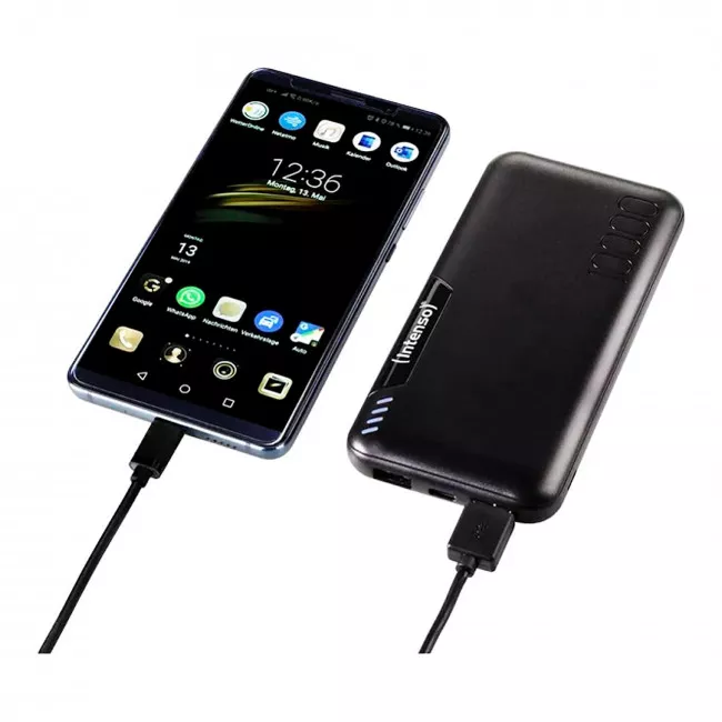 Универсальная мобильная батарея Intenso P10000 10000mAh (7332431) (PB930289)