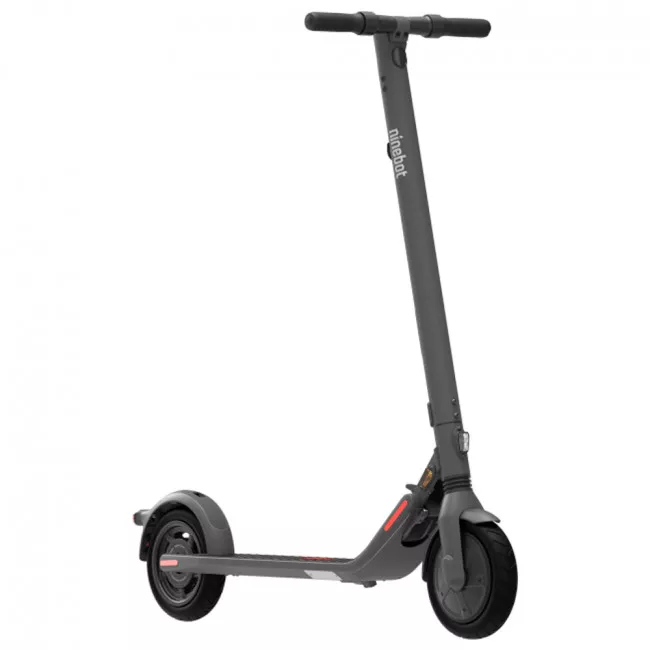 Электросамокат Ninebot by Segway E25E (AA.00.0000.88)