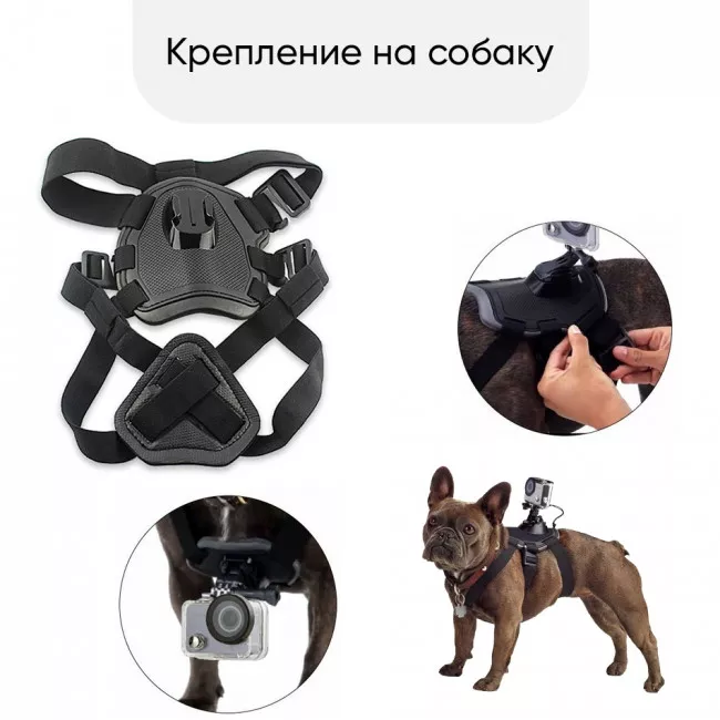 Набір кріплень AIRON ACS-3 на собак для екшн-камер (69477915500012)