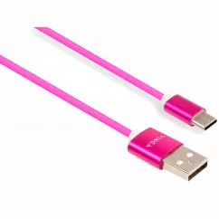 Дата кабель Vinga USB 2.0 AM to Type-C 1.0m rainbow nylon (VCPDCTCCOLNB1RS)