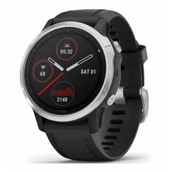 Смарт-часы Garmin Fenix 6S Silver with Black Band (010-02159-01)