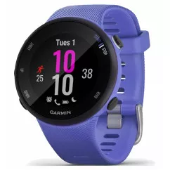 Смарт-годинник Garmin Forerunner 45 GPS Small Iris (010-02156-11)