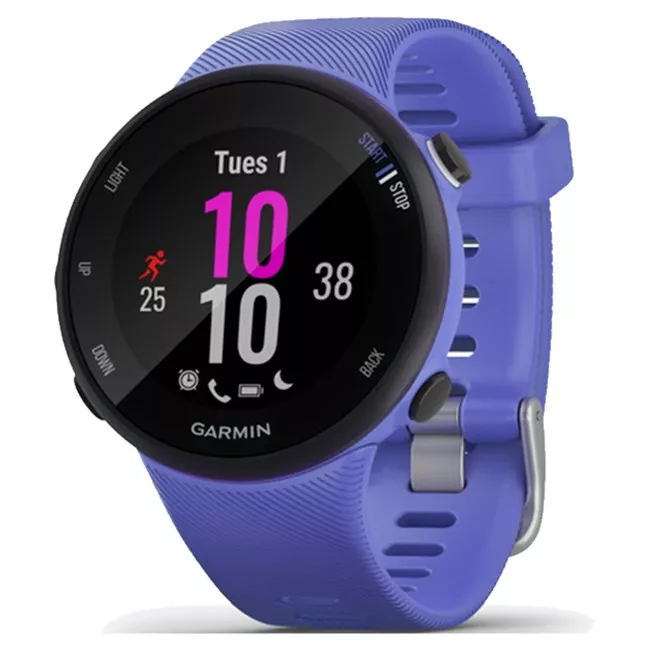 Смарт-часы Garmin Forerunner 45 GPS Small Iris (010-02156-11)