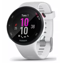 Смарт-годинник Garmin Forerunner 45s White (010-02156-10)