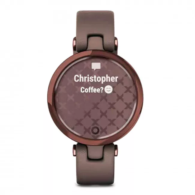 Смарт-годинник Garmin Lily Classic Dark Bronze-Paloma (010-02384-B0)