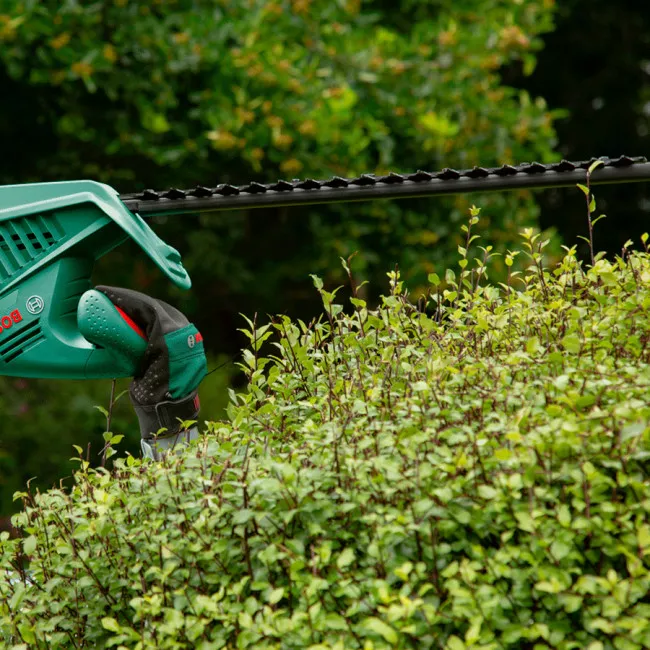 Кусторез BOSCH EasyHedgeCut 55 (0.600.847.C02)