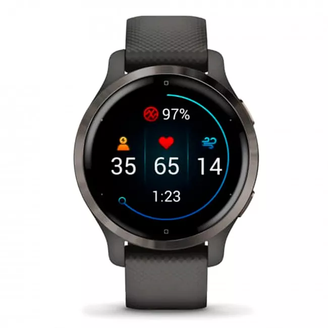 Смарт-часы Garmin Venu 2S Slate Bezel + Graphite (010-02429-10)