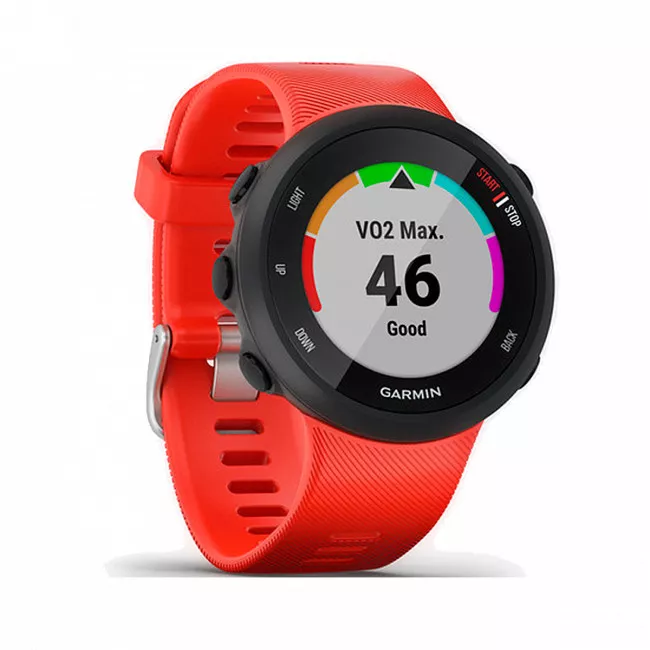 Смарт-часы Garmin Forerunner 45 GPS Large Lava Red (010-02156-16)