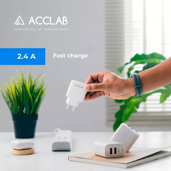 Сетевое зарядное устройство AccLab (AL-TC224)
