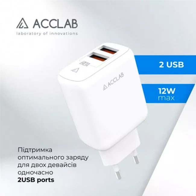Сетевое зарядное устройство AccLab (AL-TC224)