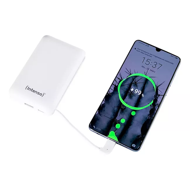 Внешний аккумулятор Intenso XC10000 10000mAh (7314532)