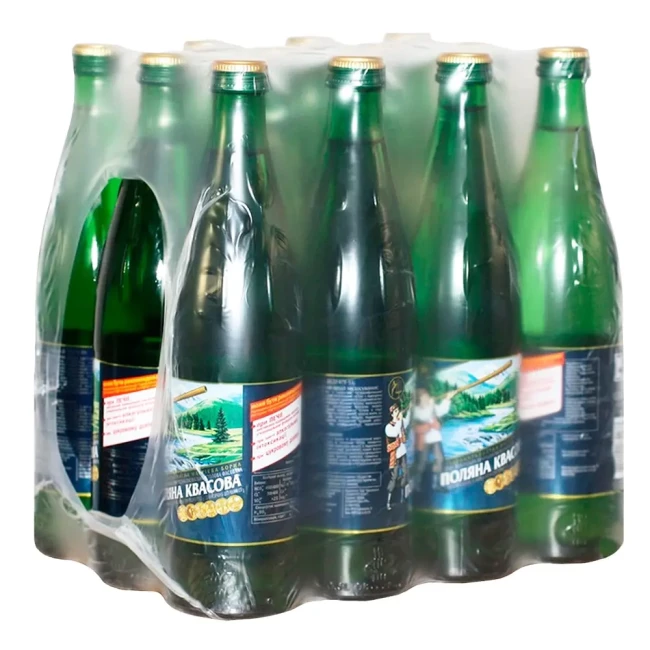 Блок воды Поляна Квасова газированная 0,5 л 12 шт (830033)
