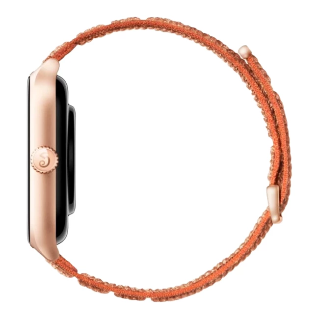 Смарт-часы Amazfit GTS 4 A2168 Utumn Brown HUAMI (W2168EU3N)