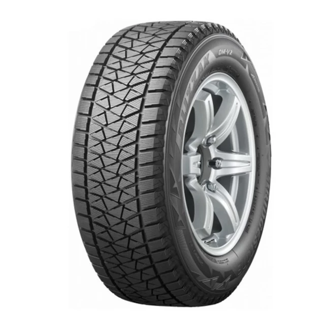 Шина 245/55R19 103R Blizzak DM-V1