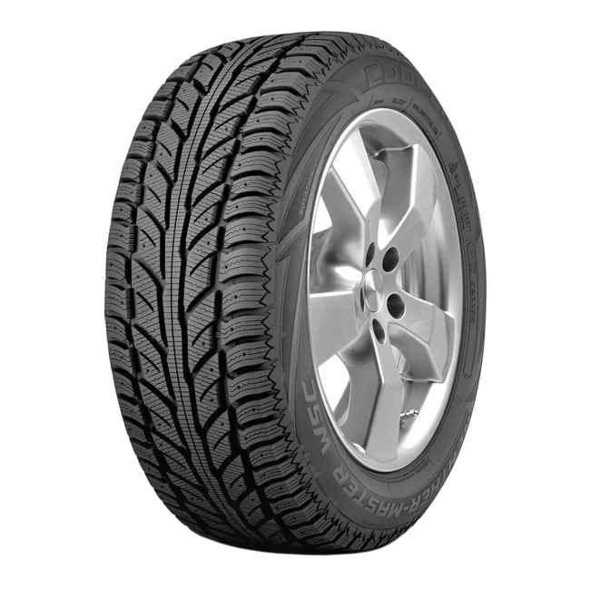 Шина 215/55R18 95T WEATHERMASTER WSC