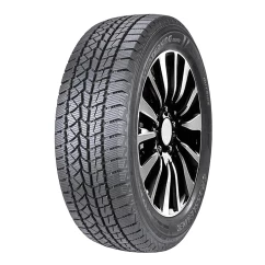 Шина Doublestar WINTERKING DW02 TL 225/55R19 99T