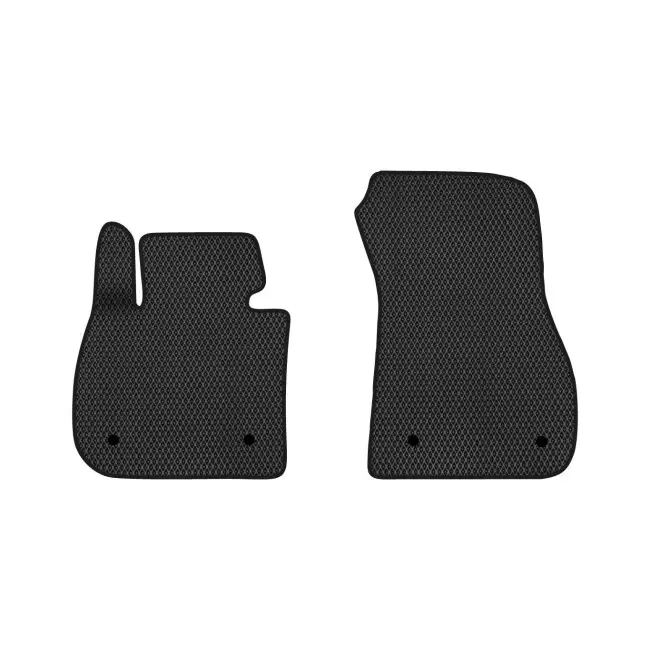 EVA килимки в салон EVAtech BMW 2 Series (F46) Gran Tourer SUV EU 2014-2021 (BM22050A2BW4RBB) EVA килимки в салон EVAtech BMW 2 Series (F46) Gran Tourer SUV EU 2014-2021 (BM22050A2BW4RBB)