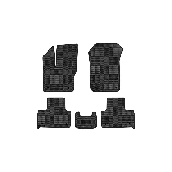 EVA коврики в салон EVAtech BYD Pro SUV China 2021+ (BD42244C5BW8RBB)