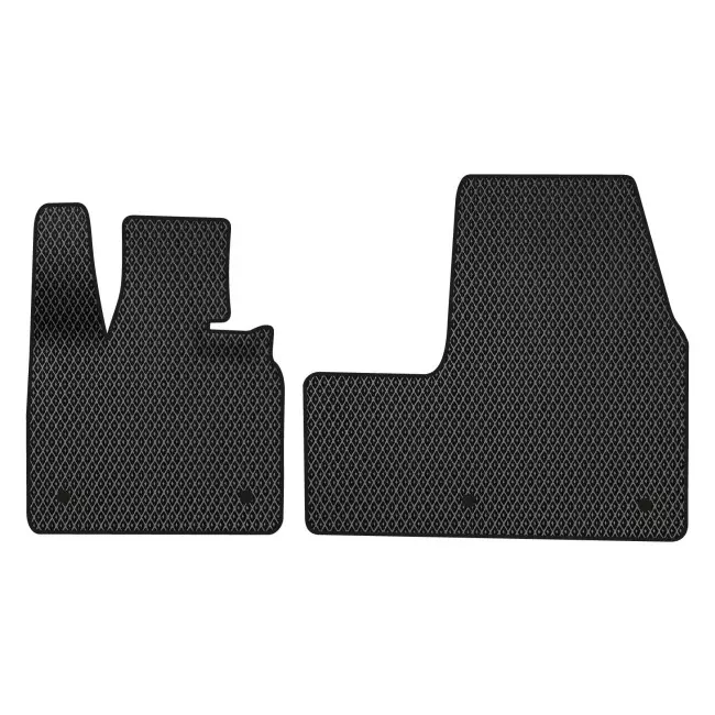 EVA коврики в салон EVAtech BMW I3 Htb EU 2013+ (BM21194AV2BW4RBB) EVA коврики в салон EVAtech BMW I3 Htb EU 2013+ (BM21194AV2BW4RBB)
