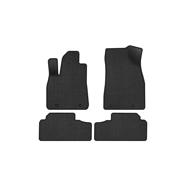 EVA килимки в салон EVAtech для Lexus RX 450h (AL10) 3 поколение SUV EU 2009-2015 (LS53933PC4TL4RBB) EVA килимки в салон EVAtech для Lexus RX 450h (AL10) 3 поколение SUV EU 2009-2015 (LS53933PC4TL4RBB)
