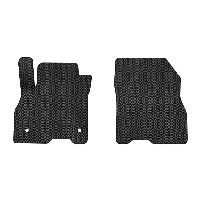 EVA килимки в салон EVAtech Nissan Leaf (ZE0) Htb USA 2010-2017 (1 пок.) (NS12262A2AV2RBB) EVA килимки в салон EVAtech Nissan Leaf (ZE0) Htb USA 2010-2017 (1 пок.) (NS12262A2AV2RBB)