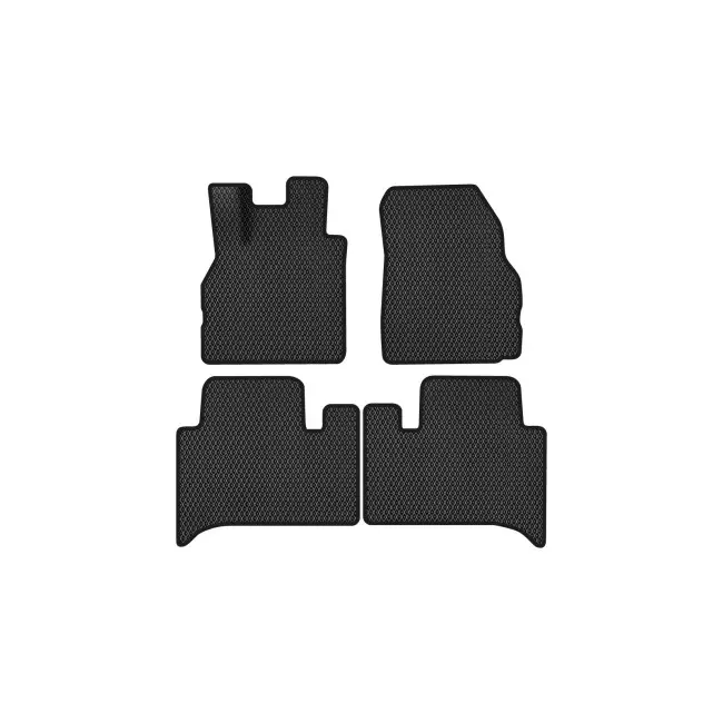 EVA коврики в салон EVAtech Renault Scenic (II) 5 seats MT Minivan EU 2003-2009
(RT13493PDC4RBB)