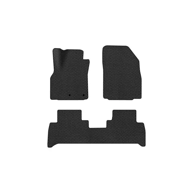 EVA килимки в салон EVAtech Renault Scenic (III) (moving armrest) AT Minivan EU
 2009-2015 (RT2893ZE3RN2RBB)