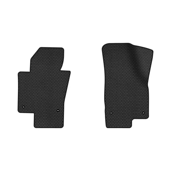 EVA коврики в салон EVAtech Volkswagen Passat (B6) (with armrest) Sedan EU 2005-2010 (VW31277AH2TL4RBB) EVA коврики в салон EVAtech Volkswagen Passat (B6) (with armrest) Sedan EU 2005-2010 (VW31277AH2TL4RBB)