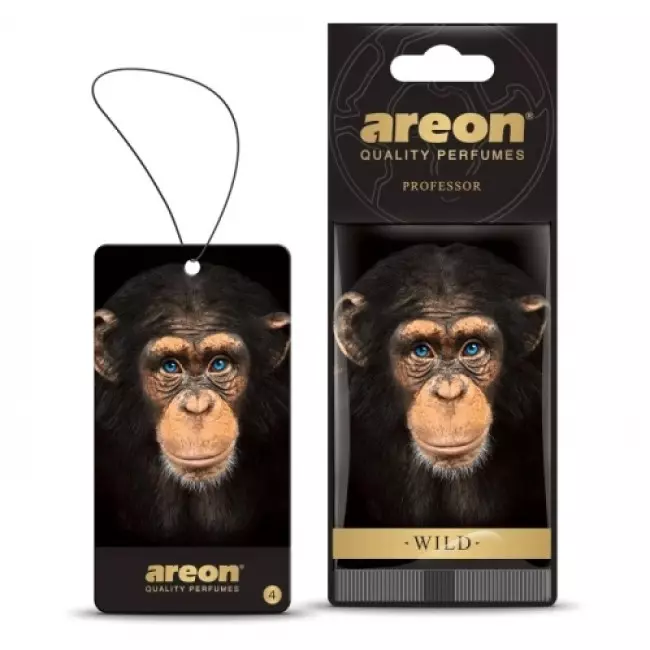 Освежитель воздуха AREON Wild сухой, листок Professor (AW04) Освежитель воздуха AREON Wild сухой, листок Professor (AW04)