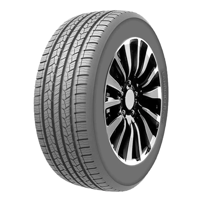 Шина Doublestar Landrider DS01 225/65R17 102T