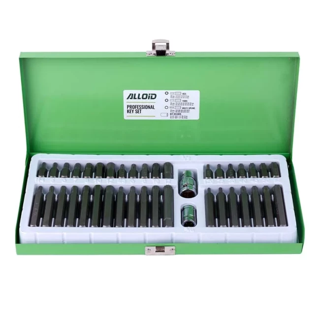 Набор бит Alloid шестигранных SPLINE TORX 40 предм (НБ-3840)