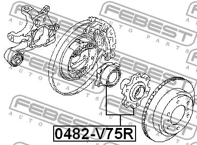 Febest 0482-V75R Ступица