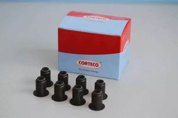 CORTECO 19036011 Комплект сальников клапанов