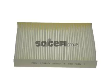 FRAM CF8838 Фильтр салона