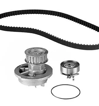 Metelli 30-0694-1 Комплект ремня ГРМ + помпа