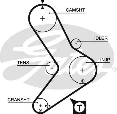 GATES 5039 Ремень ГРМ