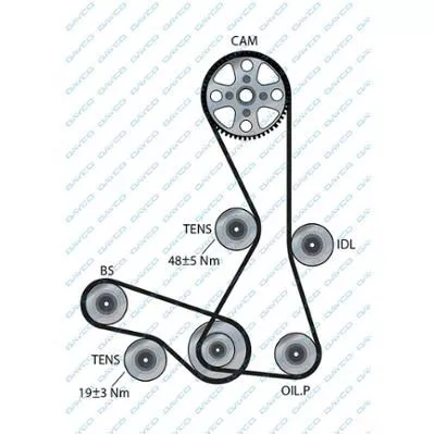 DAYCO 94981 Ремень ГРМ