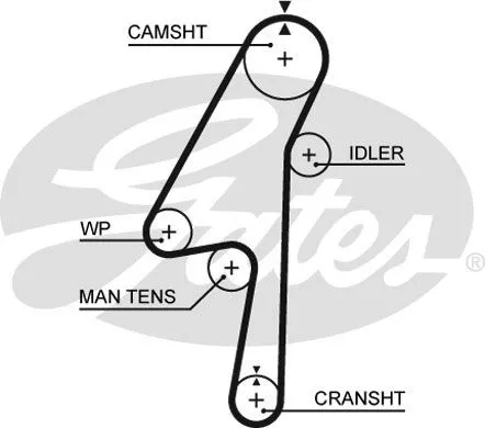 GATES 5580XS Ремень ГРМ