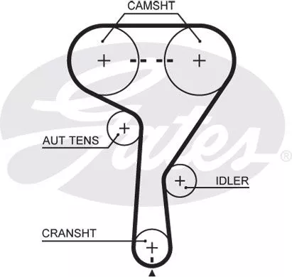 GATES 5603XS Ремінь ГРМ