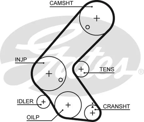 GATES 5679XS Ремень ГРМ