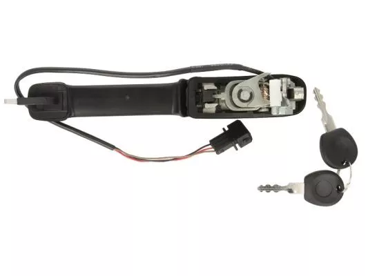 Blic 601001060401P Ручка двери