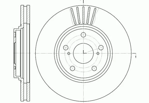 Remsa 61228.10 Гальмівні диски