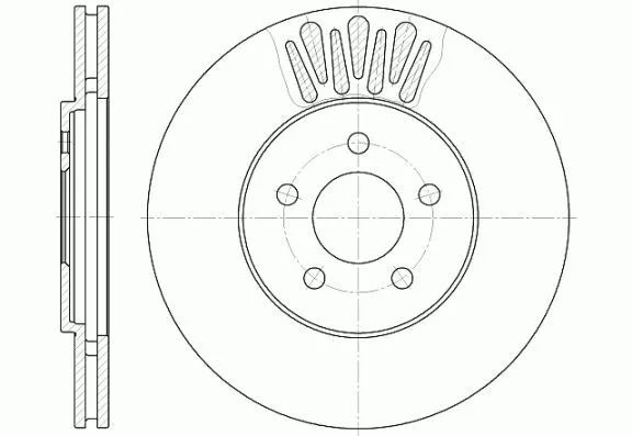 Remsa 61361.10 Гальмівні диски