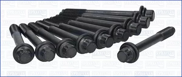Ajusa 81024100 Болт ГБЦ